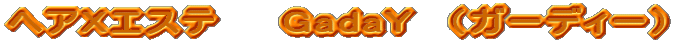 �w�AX�G�X�e�@�@GadaY�@�i�K�[�f�B�[�j